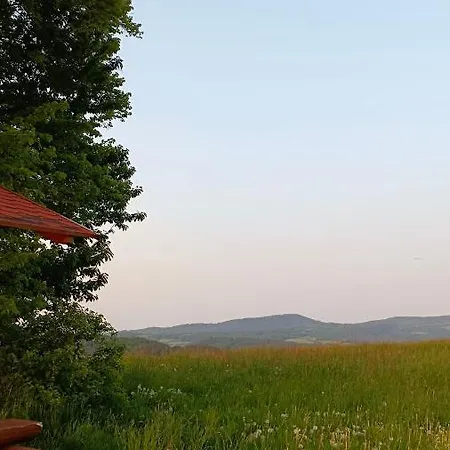 Vintíř Hotel Hartmanice (Pilsen)