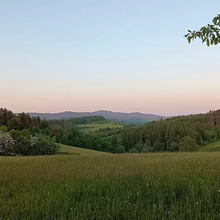 Vintíř * Hartmanice (Pilsen)